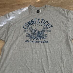 BNWT Gray Graphic T-Shirt with Blue Print CONNECTICUT